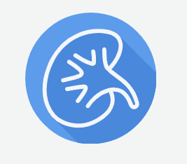 Urology